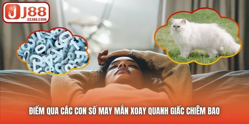 Điểm qua các con số may mắn xoay quanh giấc chiêm bao 