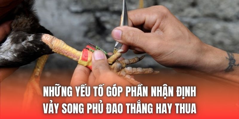 Những yếu tố góp phần nhận định vảy song phủ đao thắng hay thua